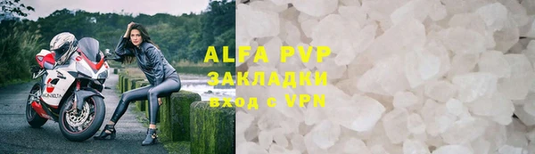 сатива Аркадак