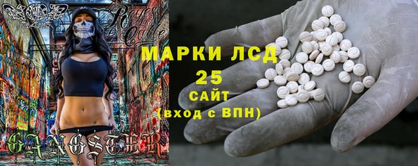 сатива Аркадак
