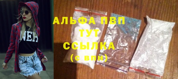 сатива Аркадак